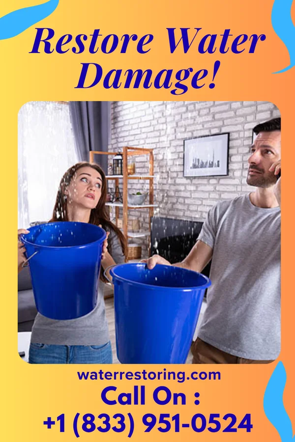 water restoration Solid Water Repair Group Damascus